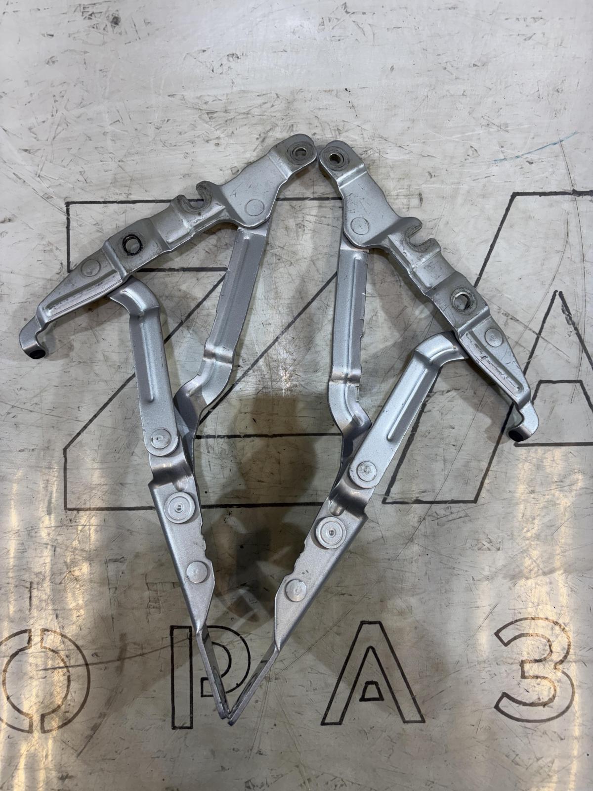 Петли крышки багажника левая правая 4B5827302F Audi  A6 С6