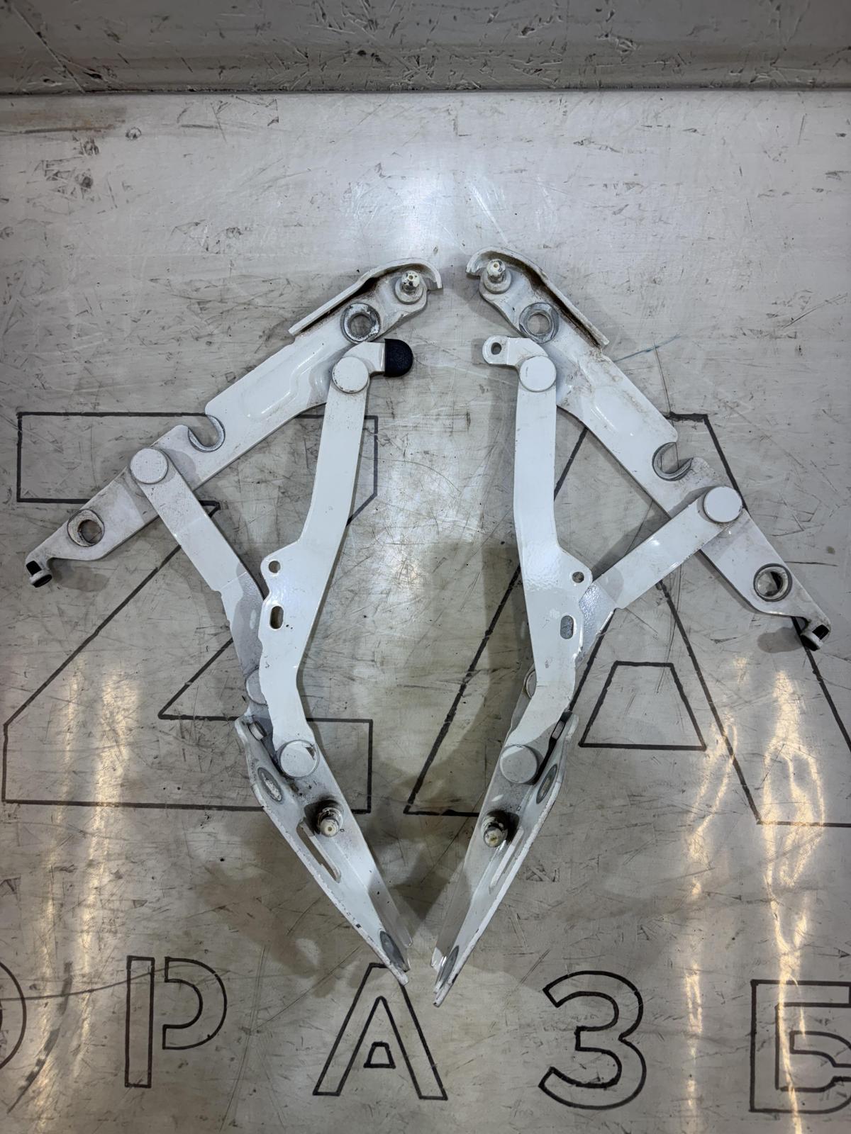 Петли крышки багажника  левая правая 4F5827301D Audi A6 C6