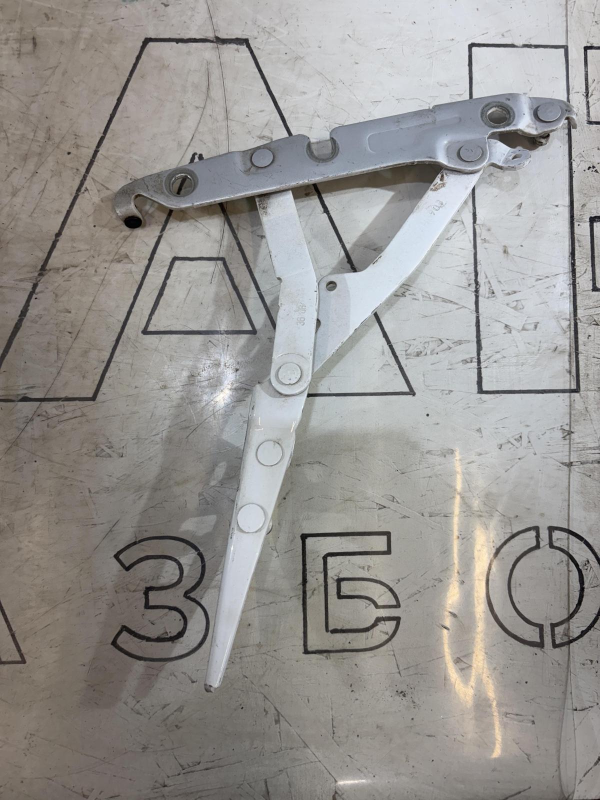 Петли крышки багажника  левая правая 4F5827301D Audi A6 C6