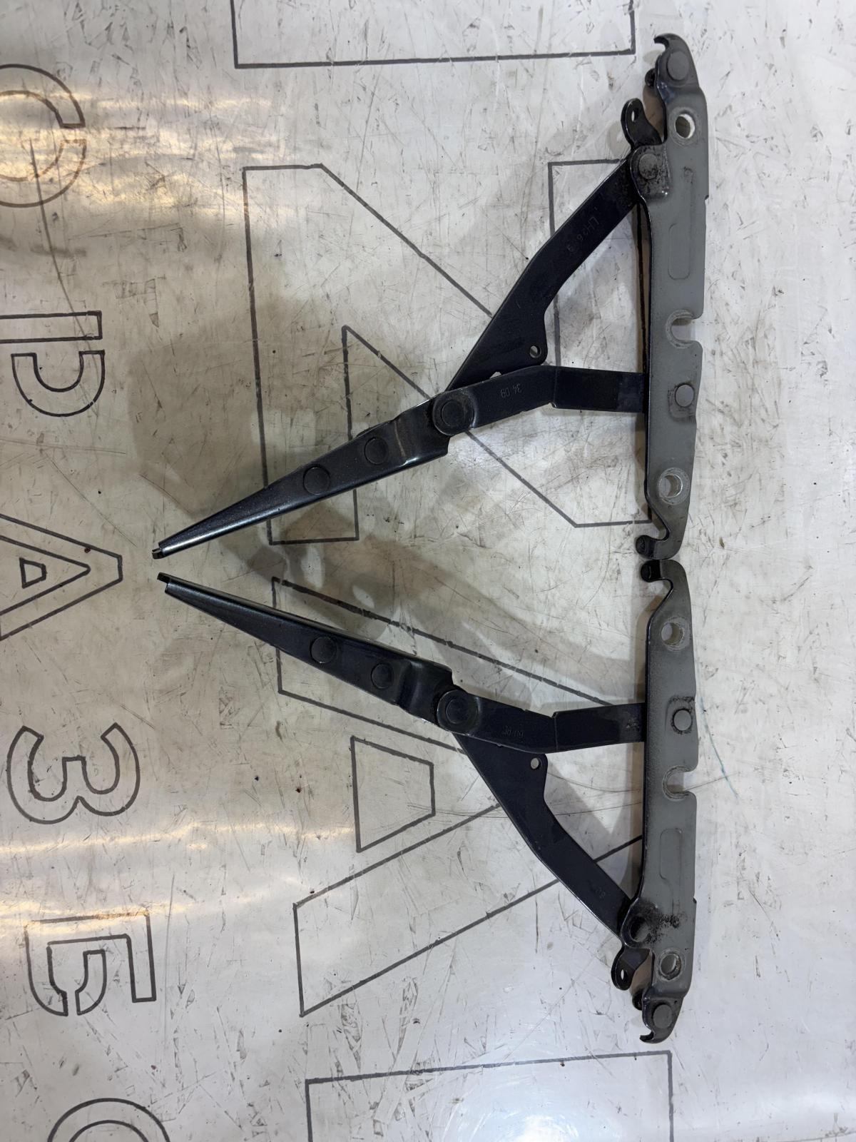 Петли крышки багажника левая правая 4F5827301D Audi A6 C6