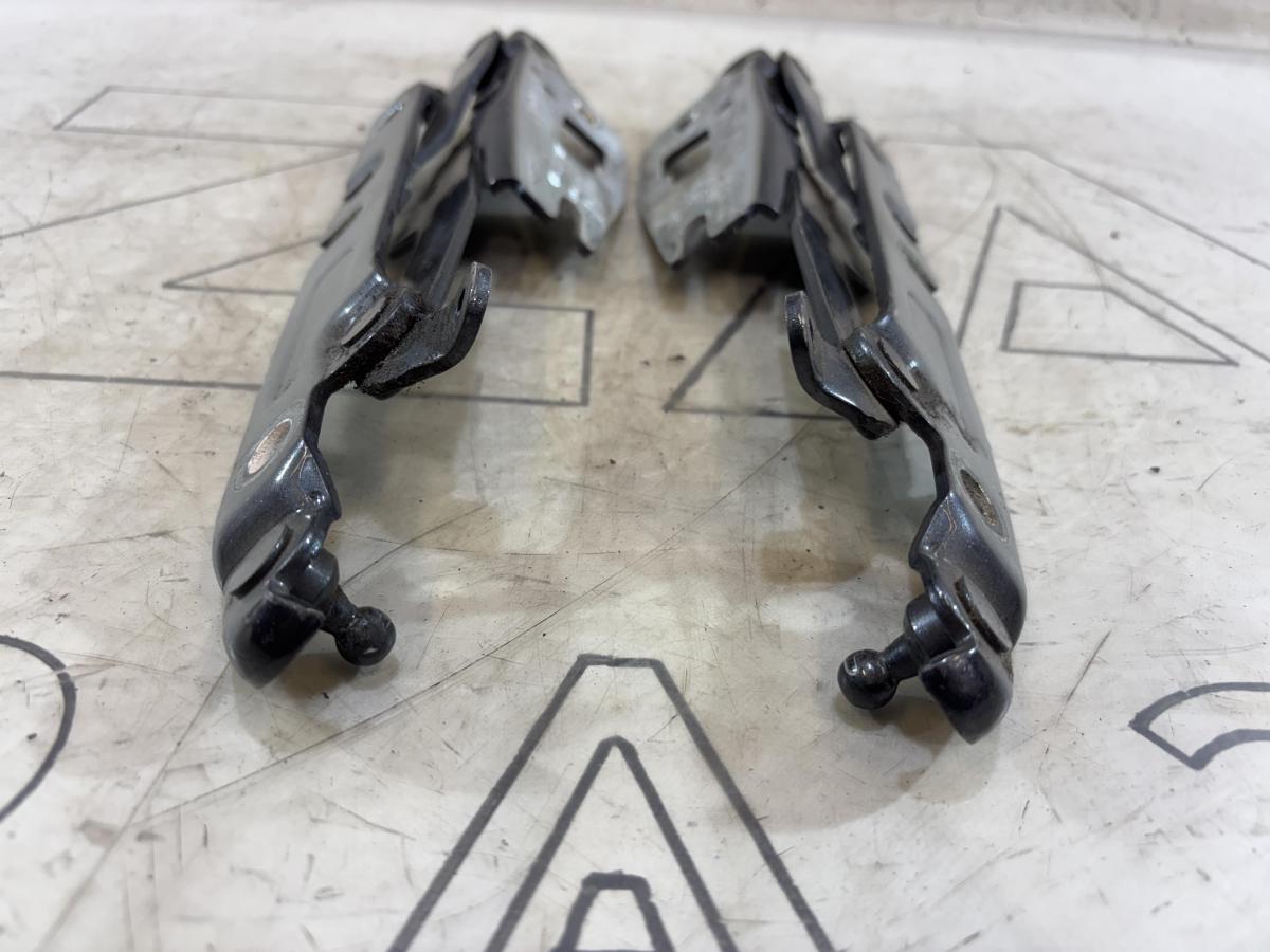 Петли крышки багажника левая правая 4F5827301D Audi A6 C6