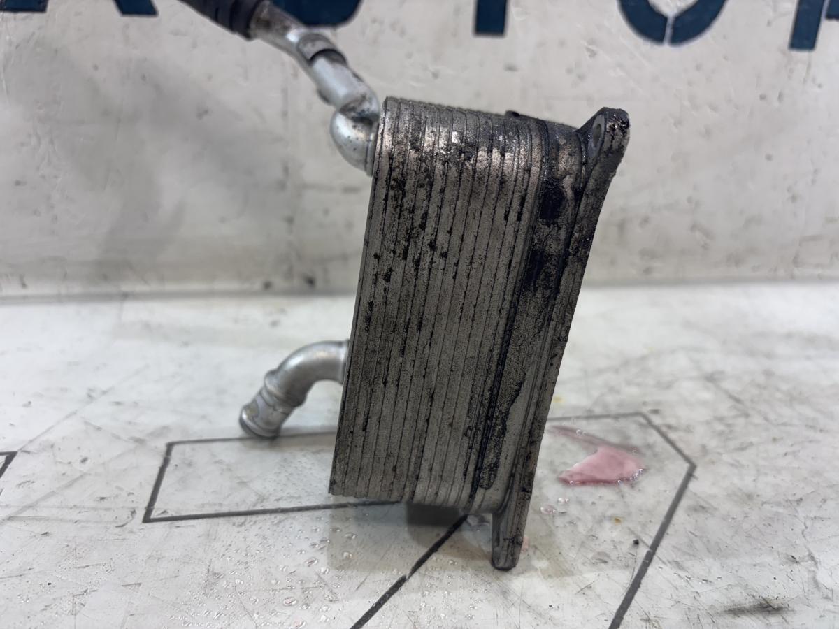 Масляный радиатор 079117021M 