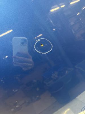 Капот 1Z0823031B Skoda Octavia RS II