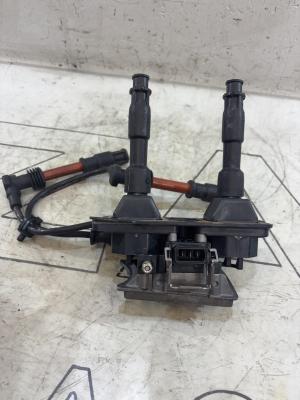 Катушка зажигания 0221603003 